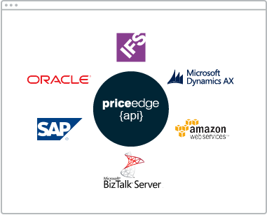 Erp integration, BI tools integration, software integration